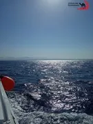 sea-trips