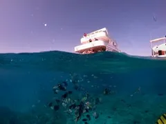 sea-trips