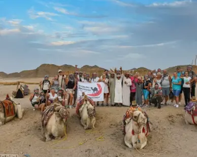 Camel Riding Experience in Hurghada: Traditional Desert Journey